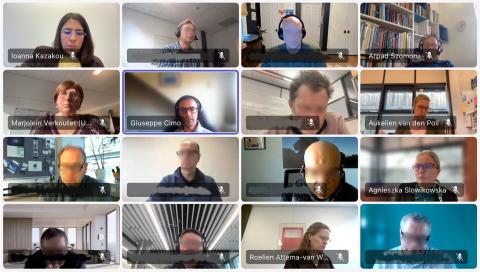 Screenshot of 1st IAB Teams Meeting 